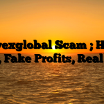 1. Nevexglobal Scam ; Hidden Fees, Fake Profits, Real Loss