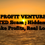 1. PROFIT VENTURES LIMITED Scam ; Hidden Fees, Fake Profits, Real Loss