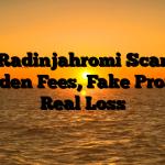 1. Radinjahromi Scam ; Hidden Fees, Fake Profits, Real Loss
